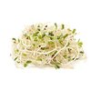 Alfalfa bio Alfalfa bio