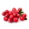 Preiselbeeren bio Preiselbeeren bio
