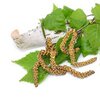 Birkenblätter bio Birkenblätter bio