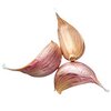 Knoblauch bio Knoblauch bio