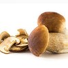 Steinpilze bio Steinpilze bio
