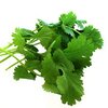 Korianderkraut bio Korianderkraut bio