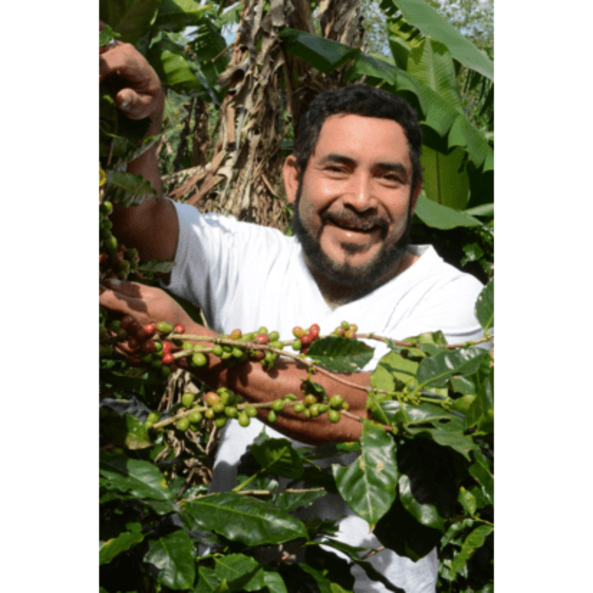 kaffeebauer_don_jose_nicaragua1.jpg_w413.png