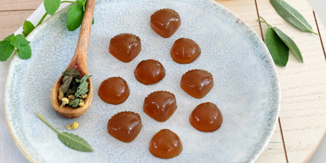 DIY Fruchtgummis | © SONNENTOR Auf dem Foto sieht man einen Teller mit Fruchtgummis darauf. | © SONNENTOR