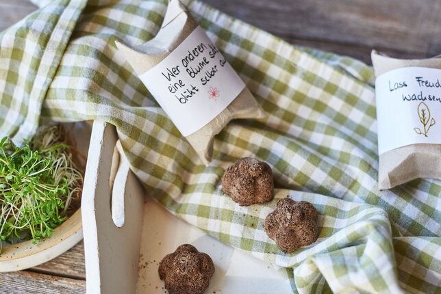 Auf dem Foto sind Seedbombs zu sehen. Daneben sieht man auch zwei Kartonpackungen in denen die Seedbombs verschenkt werden können. | © SONNENTOR