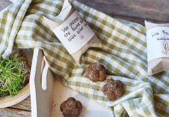Auf dem Foto sind Seedbombs zu sehen. Daneben sieht man auch zwei Kartonpackungen in denen die Seedbombs verschenkt werden können. | © SONNENTOR