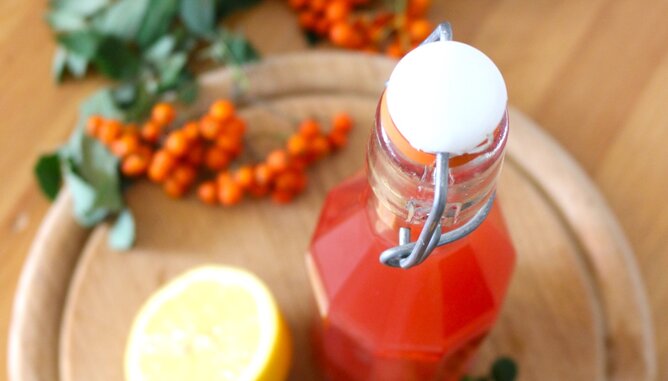 Vogelbeerensirup | © SONNENTOR Auf dem Foto ist eine Flasche mit Vogelbeerensirup zu sehen. Daneben sind frische Vogelbeeren zu sehen. | © SONNENTOR