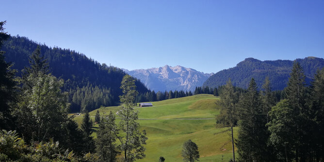 Landschaft | © SONNENTOR Auf dem Foto sieht man eine wunderschöne Landschaft aus Weiden, Wäldern und Bergen. | © SONNENTOR