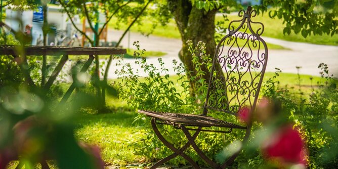 Pestizide Hausgarten | © SONNENTOR Auf dem Foto ist ein Garten zu sehen. Darin steht ein Sessel. | © SONNENTOR